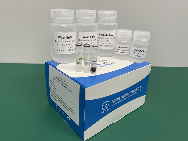 如何更好的獲得細菌基因組DNA/RNA？慧慶實驗成果分析