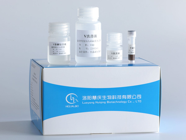 核酸提取試劑的配置方法及相關要求